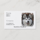 Suche nach husky visitenkarten Welpe