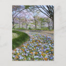 Suche nach viola postkarten Bratsche