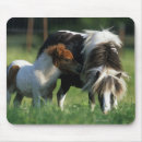 Suche nach miniatur alle mousepads Foto