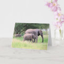 Suche nach pachyderm karten Tierwelt