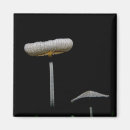 Suche nach pilz magnete Natur
