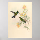 Suche nach vintage kolibris poster Blume