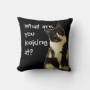 Suche nach witzig kissen Katze