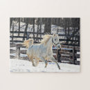 Suche nach weißes pferd puzzle Schnee