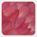 Suche nach parrot aufkleber Muster