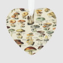 Suche nach pilze ornamente Hütte