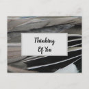 Suche nach vogelfeder poster Federmuster