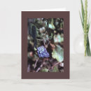 Suche nach weinstock karten Trauben