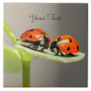 Suche nach käfer fliesen Modern