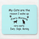 Suche nach warum mousepads Katze