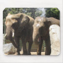 Suche nach afrikanische safari mousepads Zoo