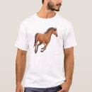 Suche nach pferdet Pony