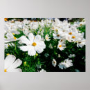 Suche nach blühen schön poster Herbst