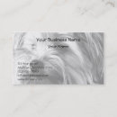 Suche nach yorkshire terrier visitenkarten Geschäft