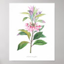 Suche nach qualität poster Blume