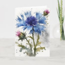 Suche nach kornblume karten Blumen