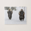 Suche nach bison puzzle Winter