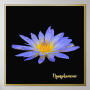 Suche nach foil poster Folie