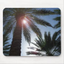 Suche nach palmen mousepads Sonnenuntergang