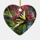 Suche nach flieder ornamente Blumen