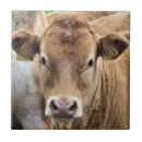 Suche nach kalb fliesen Niedlich