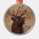 Suche nach niedliches ren ornamente Tier