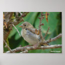 Suche nach jugendliche poster Natur