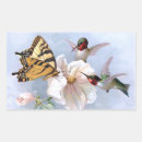 Suche nach kolibris aufkleber Vögel
