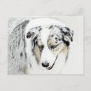 Suche nach australian shepherd postkarten Australisch