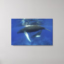 Suche nach rebecca poster Mutter