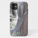 Suche nach eichhörnchen iphone hüllen Baum