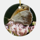 Suche nach schmetterling ornamente Naturfotografie