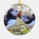 Suche nach puffins ornamente Niedlich
