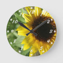 Suche nach sunflower wanduhren Bloom