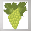 Suche nach grüne trauben poster Lebensmittel