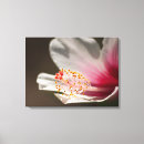 Suche nach hibiskus leinwandbilder Natur