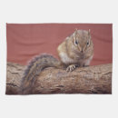 Suche nach chipmunks geschirr tücher Chipmack
