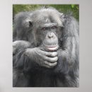 Suche nach thoughtful poster Tierwelt