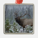Suche nach geweih ornamente Usa