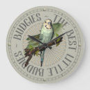 Suche nach budgie Budgerigar