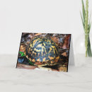 Suche nach southern karten Südlich