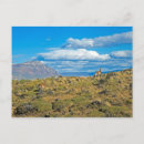 Suche nach guanaco postkarten Fotografie