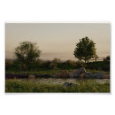 Suche nach cgi poster Landschaft