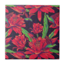 Suche nach kolibris fliesen Dschungel