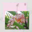 Suche nach blumenpostkarte postkarten Rosa
