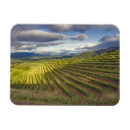 Suche nach napa magnete Usa