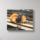 Suche nach süße tiere leinwandbilder Niedlich