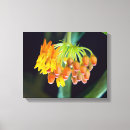 Suche nach botanik poster leinwandbilder Flora