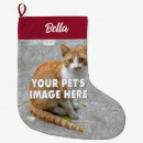 Suche nach weihnachts strümpfe Familie