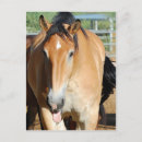 Suche nach maskottchen postkarten Niedlich